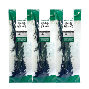 청정바다 건미역 100gX3봉, 3개, 100g