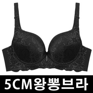 5CM왕뽕브라 임펙트 뽕브라 볼륨업브라 여성속옷 왕뽕속옷