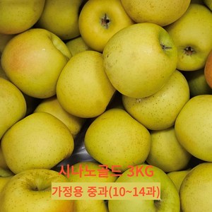 [당도대장]초고당도 황금사과 시나노골드 정품 가정용 2kg 3kg 5kg, 1박스, 가정용 시나노골드3kg 중과(10~14과)