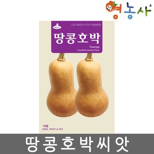 땅콩호박 씨앗 10립 덩굴성 버터향 호박씨 종자, 1개