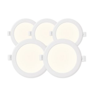 라인라이팅 LED 4인치 다운라이트 10W (벌레유입방지/방습), 5개, 주백색