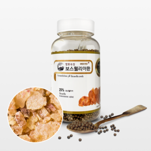 지노헬스케어 발효 보스웰리아환, 250g, 1개