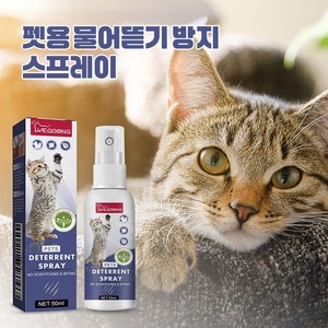 YB 반려동물 행동교정 스프레이 반려동물의 가구와 소파 긁힘 방지 스프레이 JMS-103, 2개, 50ml