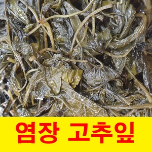 건영푸드 염장 고추잎 1kg 장아찌 소금 고춧잎, 1개