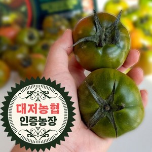 오라밀농장 단짠단짠 대저 토마토 산지직송, 1박스, 2.5kg(MM)