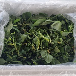 양평 비름나물 500g/1kg/1.5kg/2kg, 4개, 500g