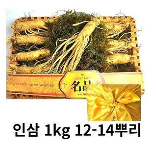 인삼 선물세트 금산인삼 인삼선물 1kg 수삼 수삼선물 홍삼 수삼선물세트 설선물세트, 1. 프리미엄 수삼세트 750g8-10뿌리, 1개