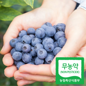[백화점납품] 무농약 국산 생 블루베리, 1박스, 400g(특 16~18mm)