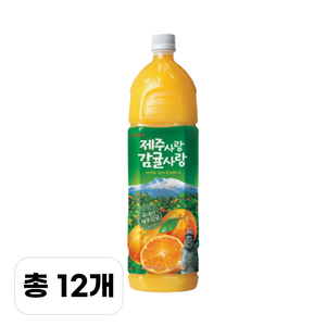 제주감귤 롯데 1.5L X 6펫, 12개