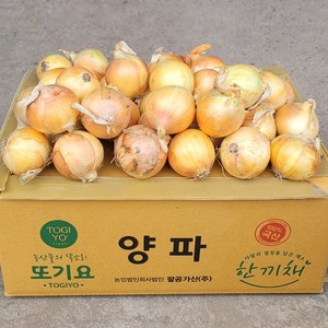 미니 양파(소) 3kg 5kg 10kg 장아치용 식당 가정용 업소용 대용량 국산양파, 1개