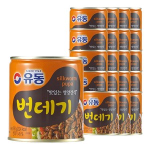 유동 번데기 280g, 20개