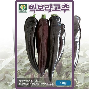 다농 빅보라고추 씨앗 10p, 1개