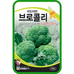 브로콜리 씨앗 100립 샐러드 채소 boccoli cauliflowe seed, 1개