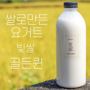 쌀로만든 순식물성 쌀요거트 빛쌀 대용량 골든퀸, 1개, 1L