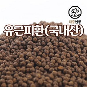 대흥한방 유근피환 500g 국내산, 1개