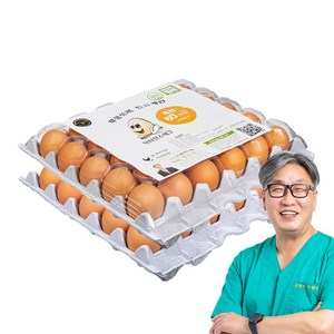 [당일 생산] 닥터안스에그 무항생제 인증 수의사 계란, 60구, 1개