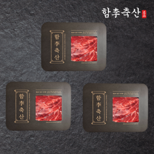 [당일발송] 부드럽고 고소한 1++등급 투뿔 프리미엄 한우 국거리, 3개, 300g