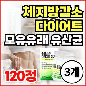 bn17 비엔날씬 bm17 유산균 다이어트 보조제 비에날씬 알약 / 비피더스 유산균 체지방감소 모유 유래 유산균 L 프롤린 락토바실러스 가세리 가르시니아, 3개, 120정