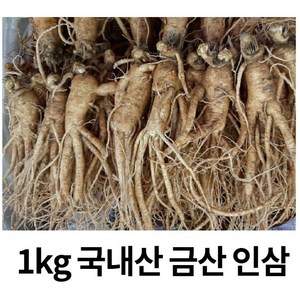 국내산 금산 인삼 수삼 가정용 인삼 5년근1kg (15-18뿌리), 1KG세척(o), 1개