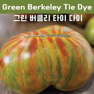 Geen Bekeley Tie-Dye 그린 버클리 타이다이 큰토마토 달콤한 희귀토마토 교육체험용 세트, 1개