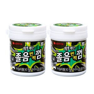 롯데웰푸드 확 깨는 졸음 번쩍 껌, 87g, 2개