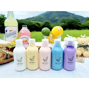 소량페인트 실내수성 친환경 벽지 방문 몰딩 젯소 프라이머 바니쉬 30-250ml+미니붓, 1.Snow White, 100ml, 1개