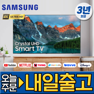 삼성전자 최신형 65인치 슬림형 4K UHD 유튜브 넷플릭스 LED 스마트 TV, 방문설치, 벽걸이형