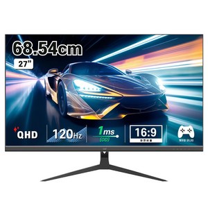 디엑스 68cm QHD 120Hz 게이밍 컴퓨터 모니터 DX270QHD120, DX270QHD120(무결점)