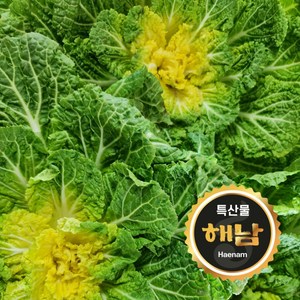 해남 제철 봄동 달달하고 싱싱한 봄동 배추 배추쌈 샐러드 쌈배추, 1개, 2kg