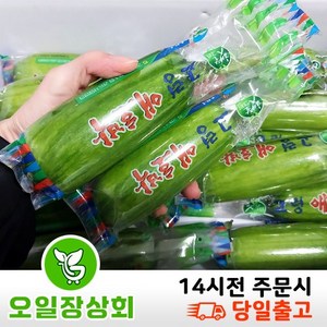 < 오일장상회 > 국내산 애호박 못난이애호박 인큐애호박 (상) 10개 20개입, 총2kg~4kg내외, 1개