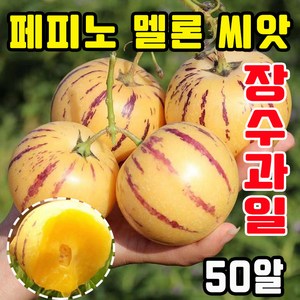 [장수과일] 페피노 멜론 씨앗 봉지 포장 우유향 황금 크림향 신품종 겅강 과일 인생과 씨앗 50알 100알 200알 400알, 50개