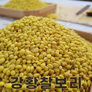 밥보야 24년산 강황찰보리 1kg 기능성보리, 1개