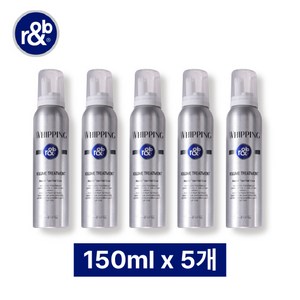 [KT알파쇼핑]알앤비 볼륨 트리트먼트 150ml*5통, 5개, 150ml