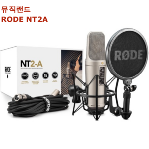 RODE 로데 NT2-A 콘덴서 마이크, 1개