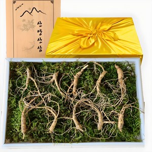 [한국명품산삼] 진짜 100% 지리산 산양삼 5-6년근 산지직송 선물용 장뇌삼 산양산삼, 5-6년근 10뿌리, 1개, 10g