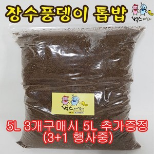 곤충 용품, 장수풍뎅이 톱밥5L, 1개