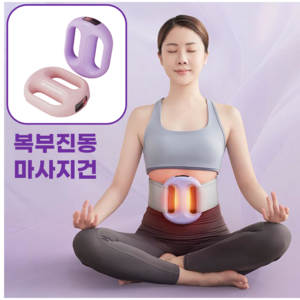 타이탄핏 덜덜이 복부 진동 운동기구 마사지 건, 라이트퍼플