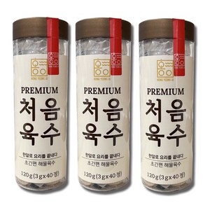 홍영의 코인 동전 한알 처음육수 120g*3 120정, 120g, 3개