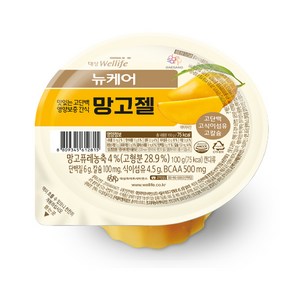 뉴케어 영양간식 망고젤 100g, 10개