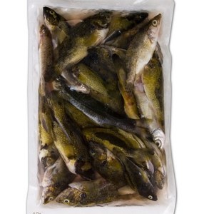 강원도 동강 자연산 민물고기(잡고기) 450g x 3팩 냉동가공수산물, 3개, 500g