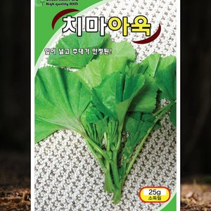 아욱씨앗 종자 소독필 잎이넓고 추대안정 25g, 1개