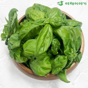야채이야기 신선한 바질 100g 스위트바질 생바질, 1개