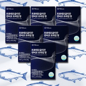 프로테오글리칸 연어코연골추출물 600mg 식약처 HACCP 인증, 60정, 6개