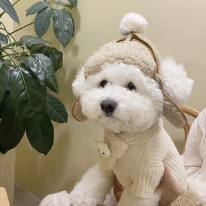 댕냥이 군밤 모자 강아지 털 뽀글이, 1개