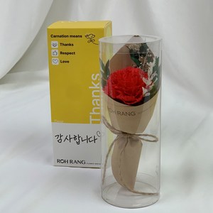 로랑 한송이 카네이션 장미 미니 꽃다발, 카네이션(레드), 1개