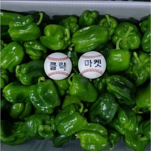 클릭마켓 국내산 피망 10kg, 1개