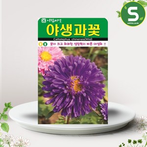 솔림텃밭몰 야생과꽃씨앗 1000립 야생과꽃 꽃씨앗 꽃씨 야생화, 1개