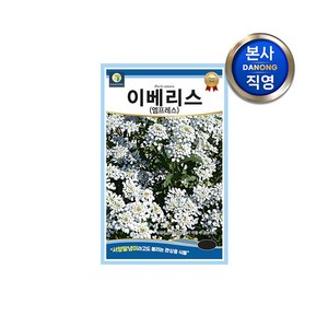 [다농] 이베리스 엠프레스 씨앗 100립 .이메리스 서양말냉이 관상용 야생화 꽃 꽃씨 종자, 1개