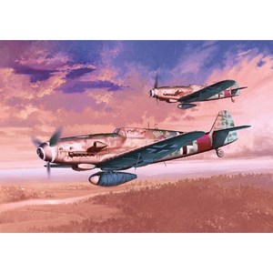 케이에이 메서슈미트 KP48002A 1/48 Bf 109G-10 Rita, 1개