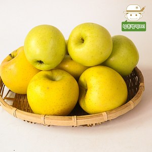 [의성직송] 황금사과 (시나노골드/꼬마) 2kg/3kg, (꼬마) 2kg